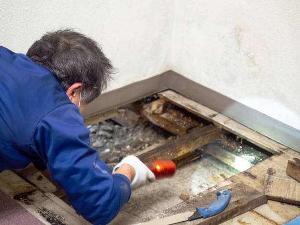 Best Water Damage Restoration  in Dunmore, PA