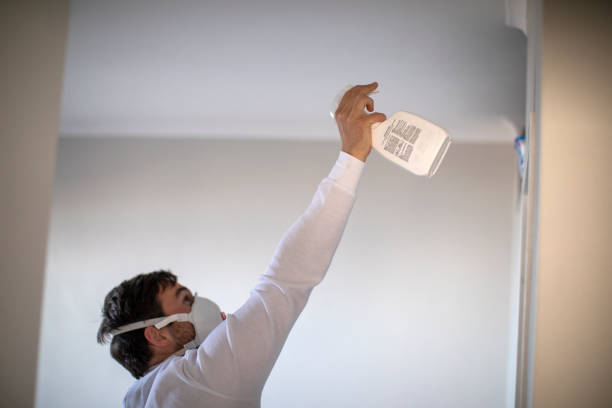 Best Commercial Mold Removal  in Dunmore, PA