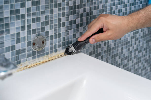 Best Local Mold Removal Service  in Dunmore, PA