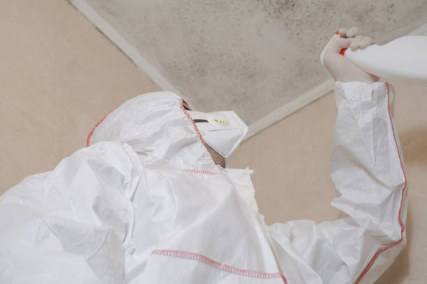 Best Mold Removal Process  in Dunmore, PA